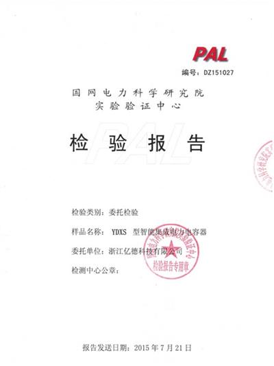 YDXS型電力電容器 檢驗(yàn)報(bào)告